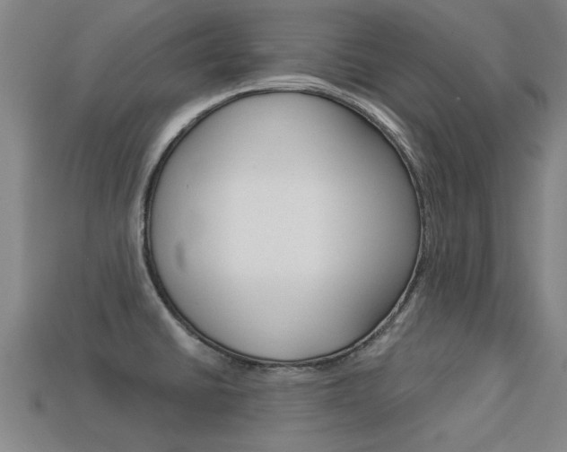 X0000113341430200909150956