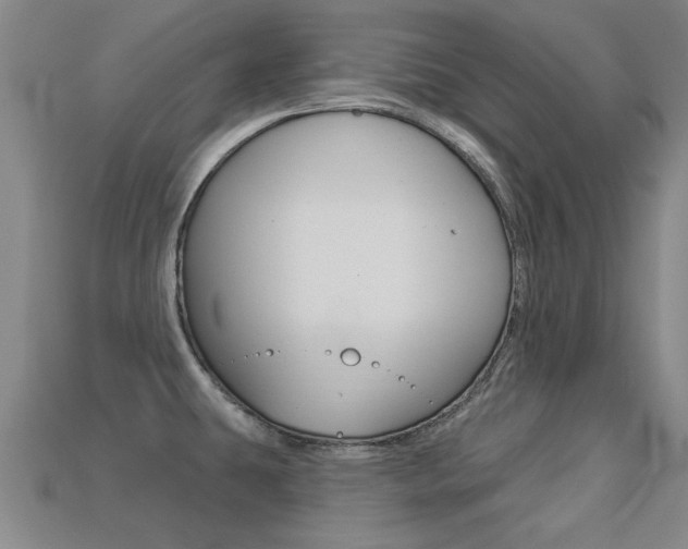 X0000113341431200909150956