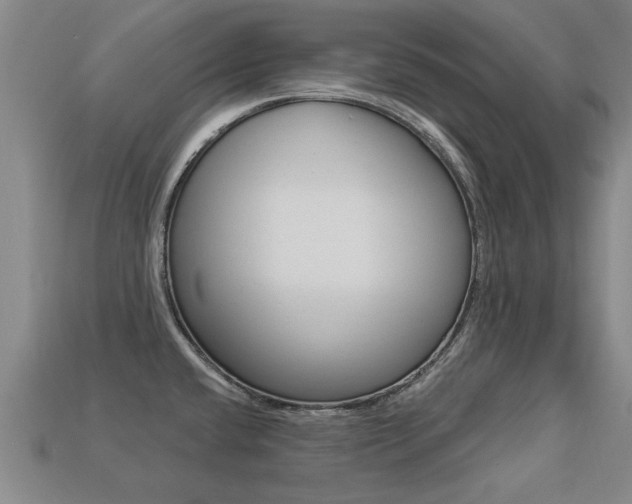 X0000113341432200909150956
