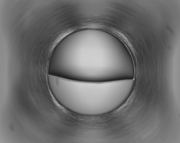 X0000113341433200909150956