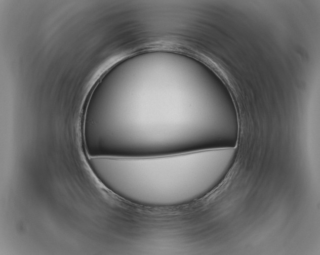 X0000113341434200909150956