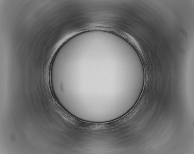 X0000113341435200909150956