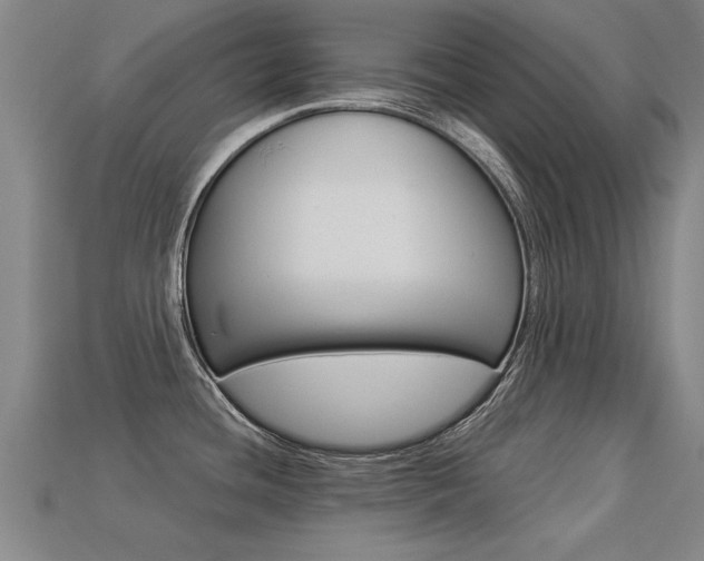 X0000113341436200909150956