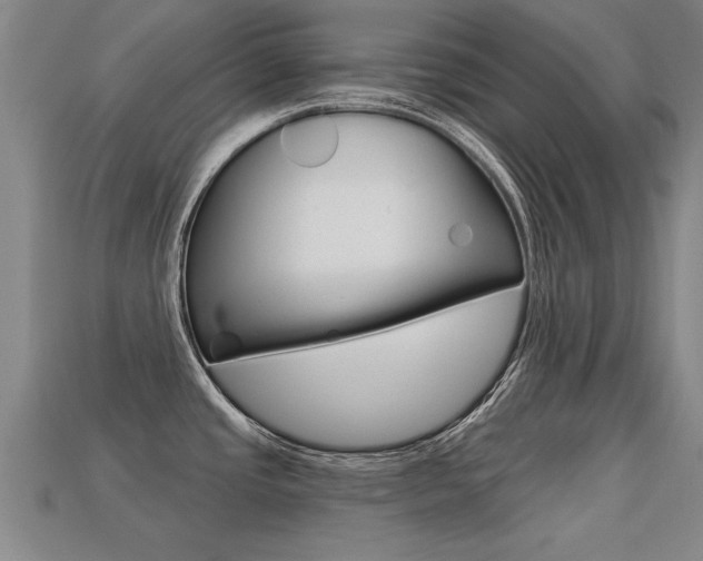 X0000113341437200909150956