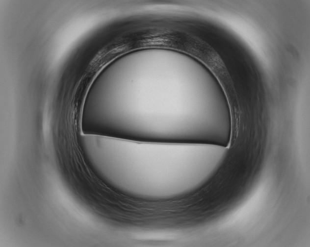 X0000113341438200909150956