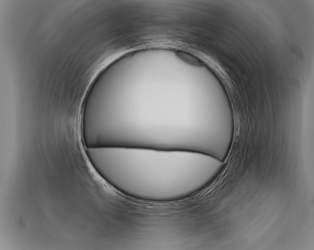 X0000113341439200909150956