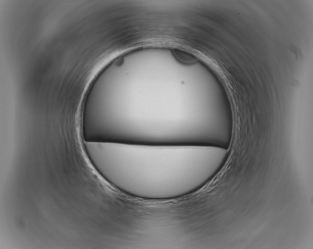 X0000113341440200909150956