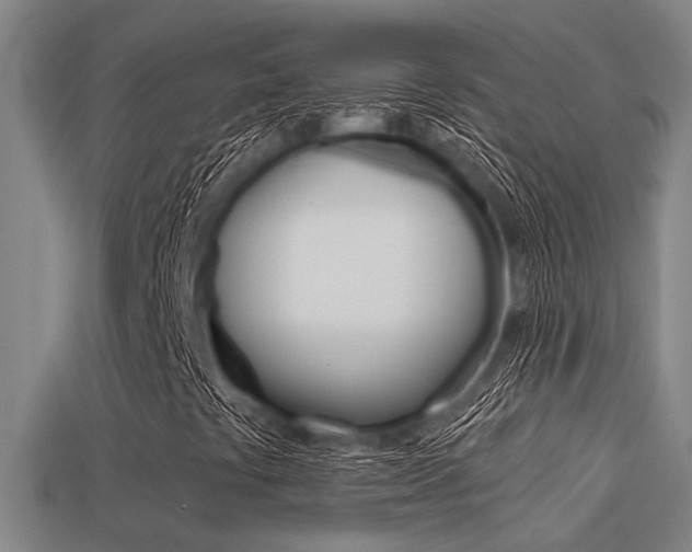 X0000113341441200909150956