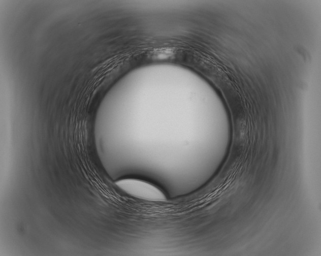 X0000113341442200909150956