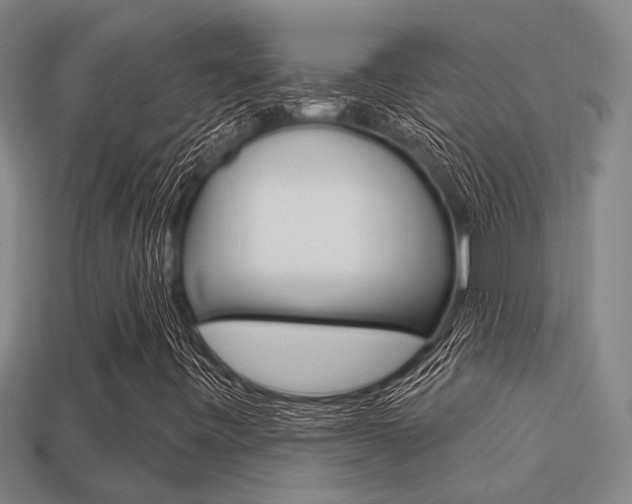 X0000113341443200909150956