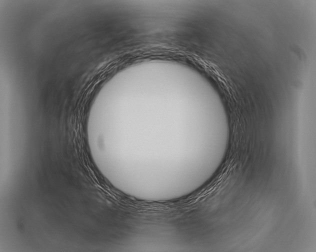 X0000113341445200909150955