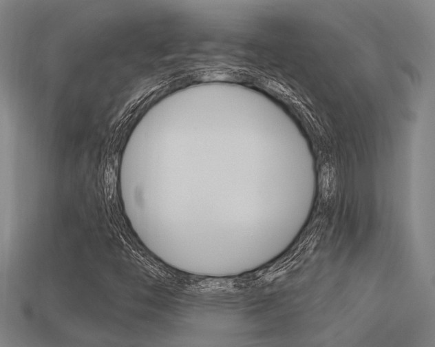 X0000113341446200909150955