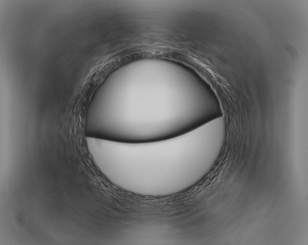 X0000113341447200909150955