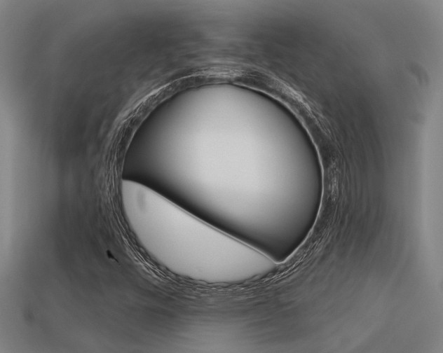 X0000113341448200909150955