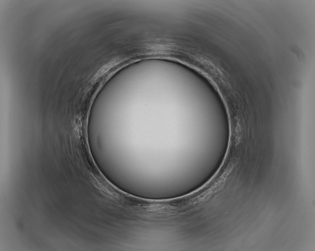 X0000113341449200909150955