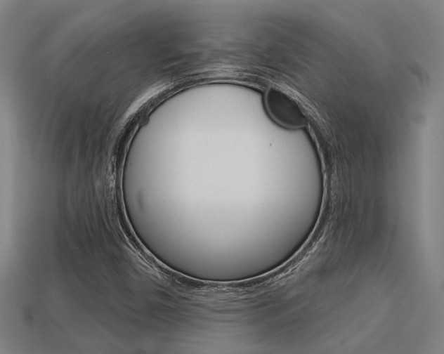 X0000113341450200909150955