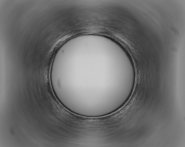 X0000113341451200909150955
