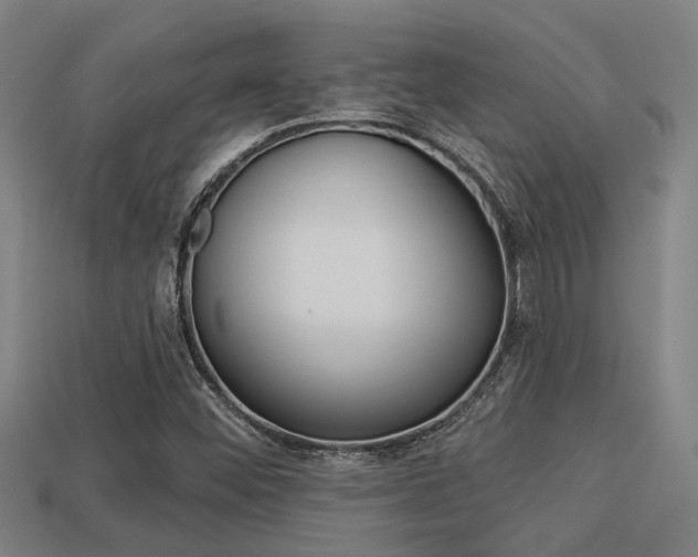 X0000113341452200909150955