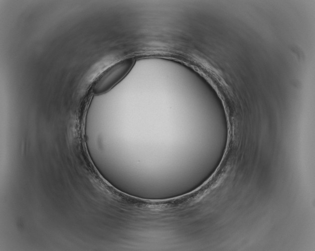 X0000113341453200909150955