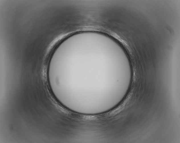 X0000113341454200909150955