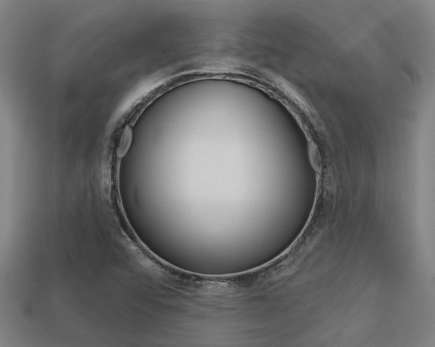 X0000113341456200909150955