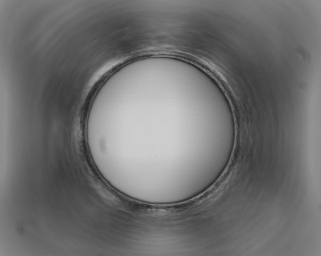 X0000113341458200909150955