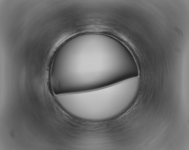 X0000113341459200909150955