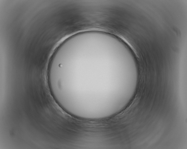 X0000113341460200909150955