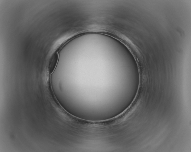X0000113341461200909150955