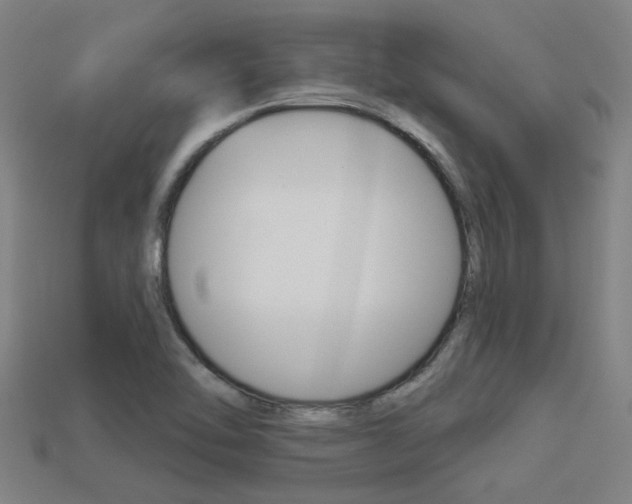 X0000113341462200909150955