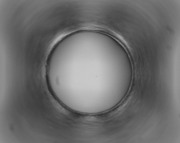 X0000113341463200909150955