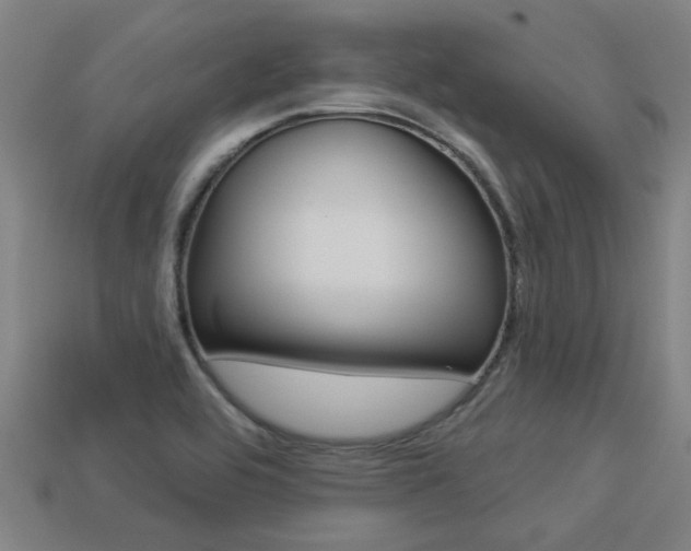 X0000113341464200909150955