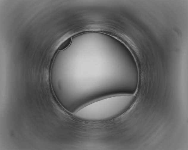 X0000113341465200909150955