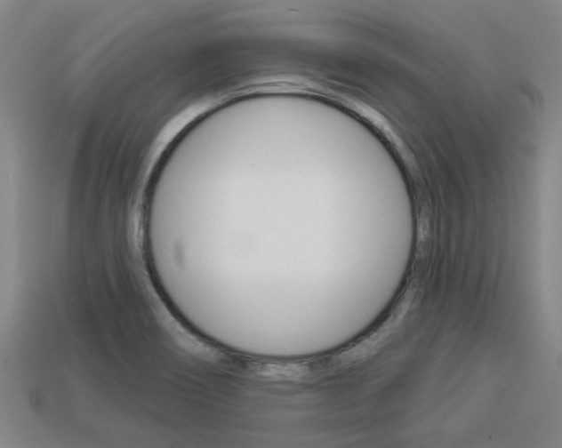 X0000113341466200909150955