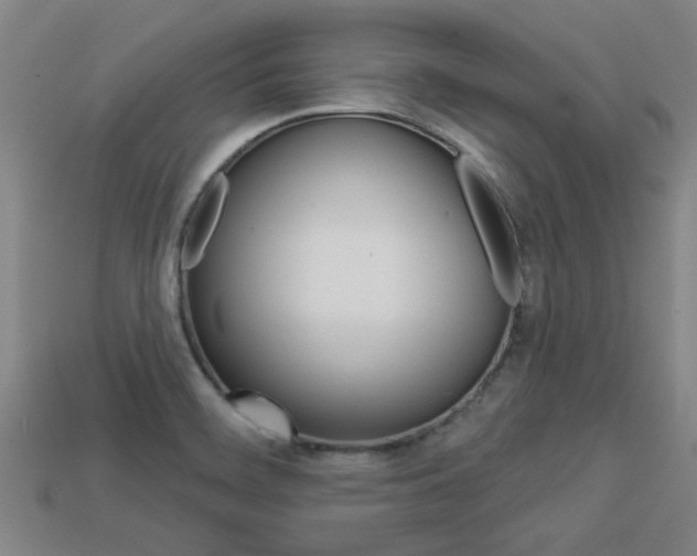 X0000113341468200909150955