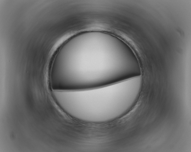 X0000113341469200909150955
