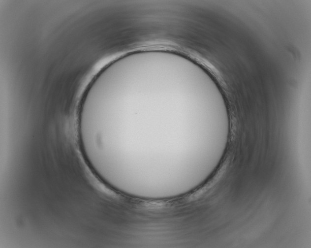 X0000113341470200909150955