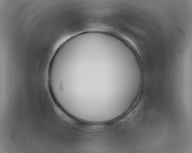 X0000113341471200909150955