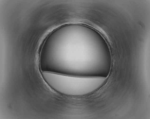 X0000113341472200909150955