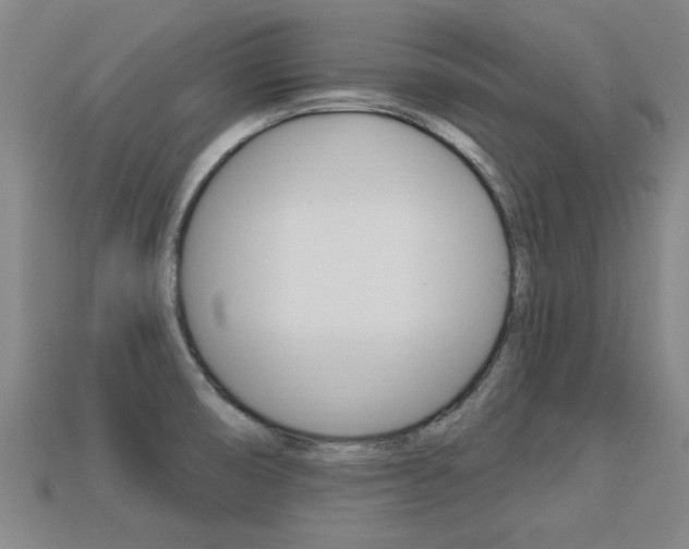 X0000113341474200909150955