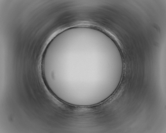X0000113341475200909150955