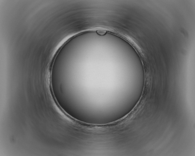 X0000113341476200909150955