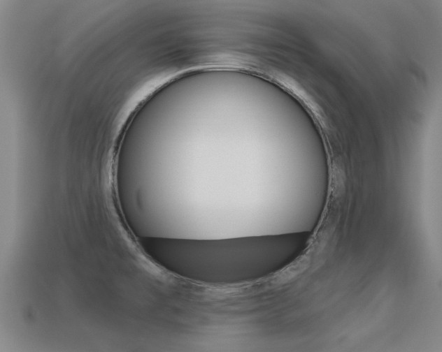 X0000113341477200909150955