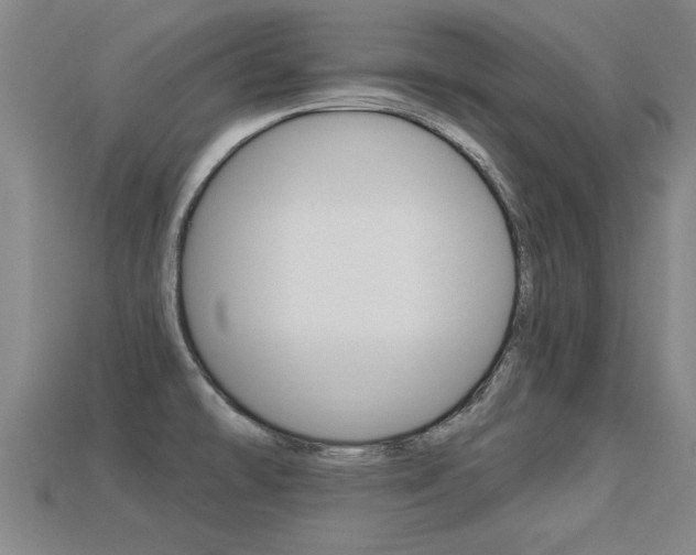 X0000113341478200909150955
