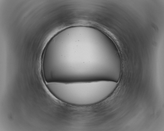 X0000113341479200909150955