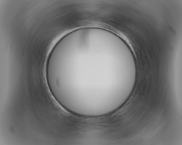 X0000113341480200909150955
