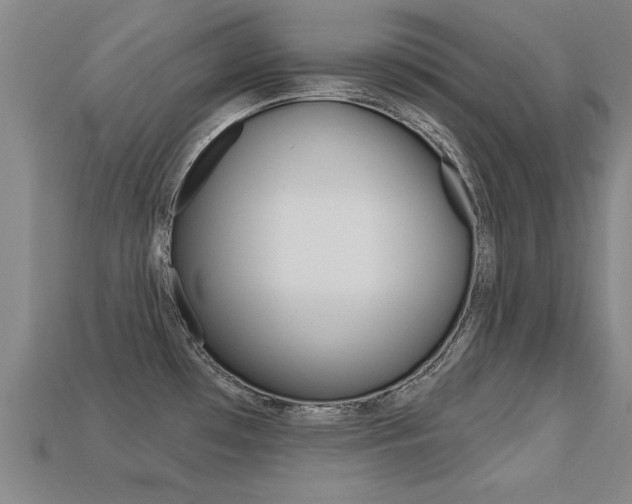 X0000113341481200909150955