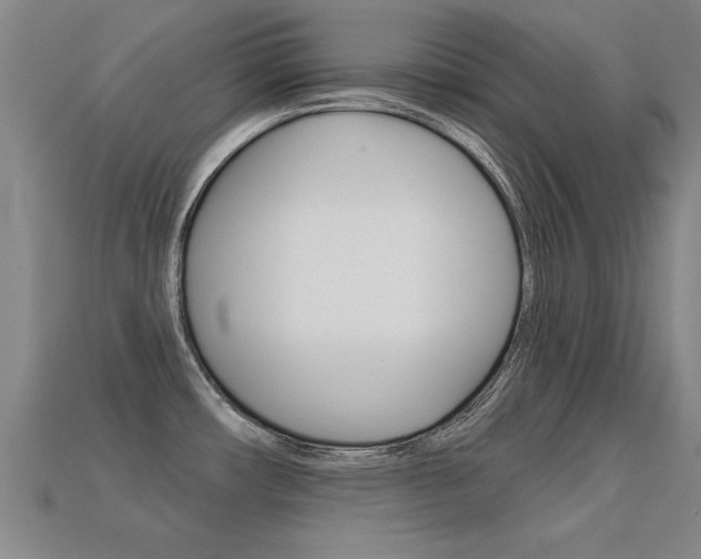 X0000113341482200909150955