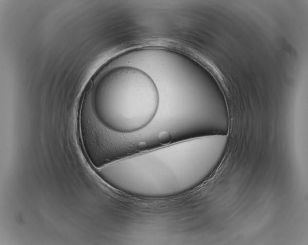 X0000113341483200909150955