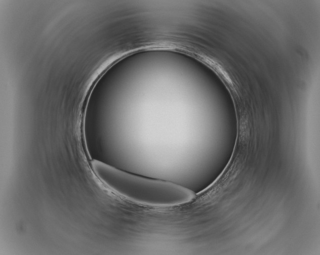 X0000113341484200909150955